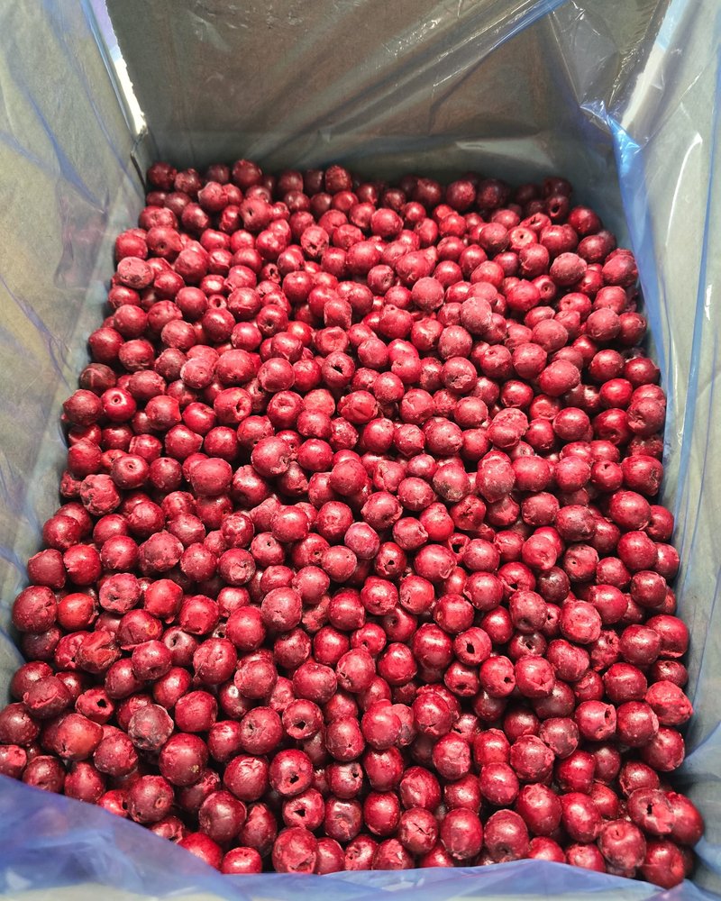 Cerises IQF fraîchement emballées