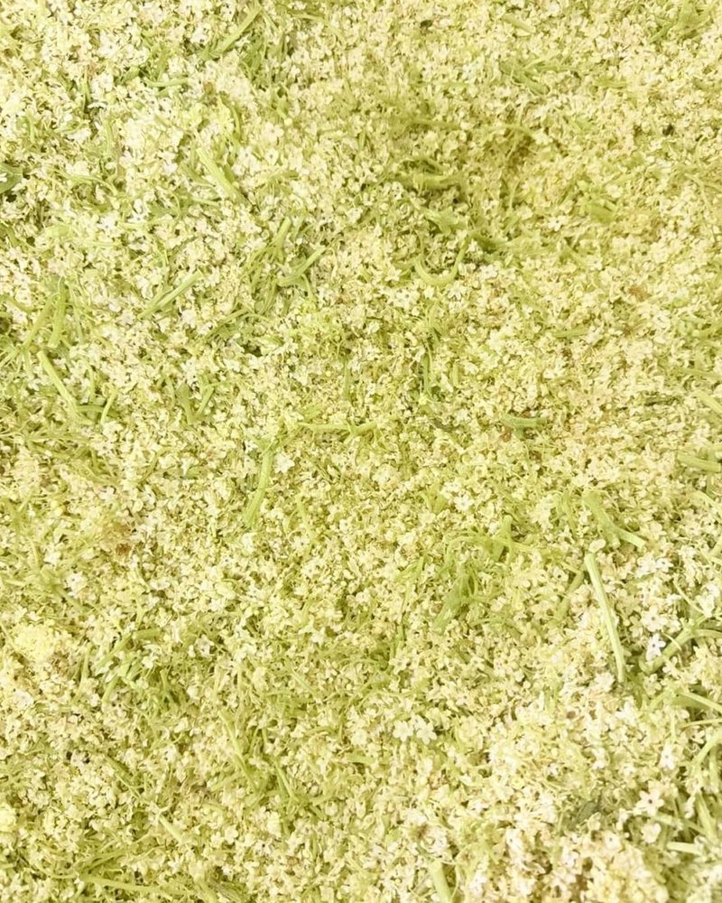 Fleur de sureau IQF, récolte saisonnière