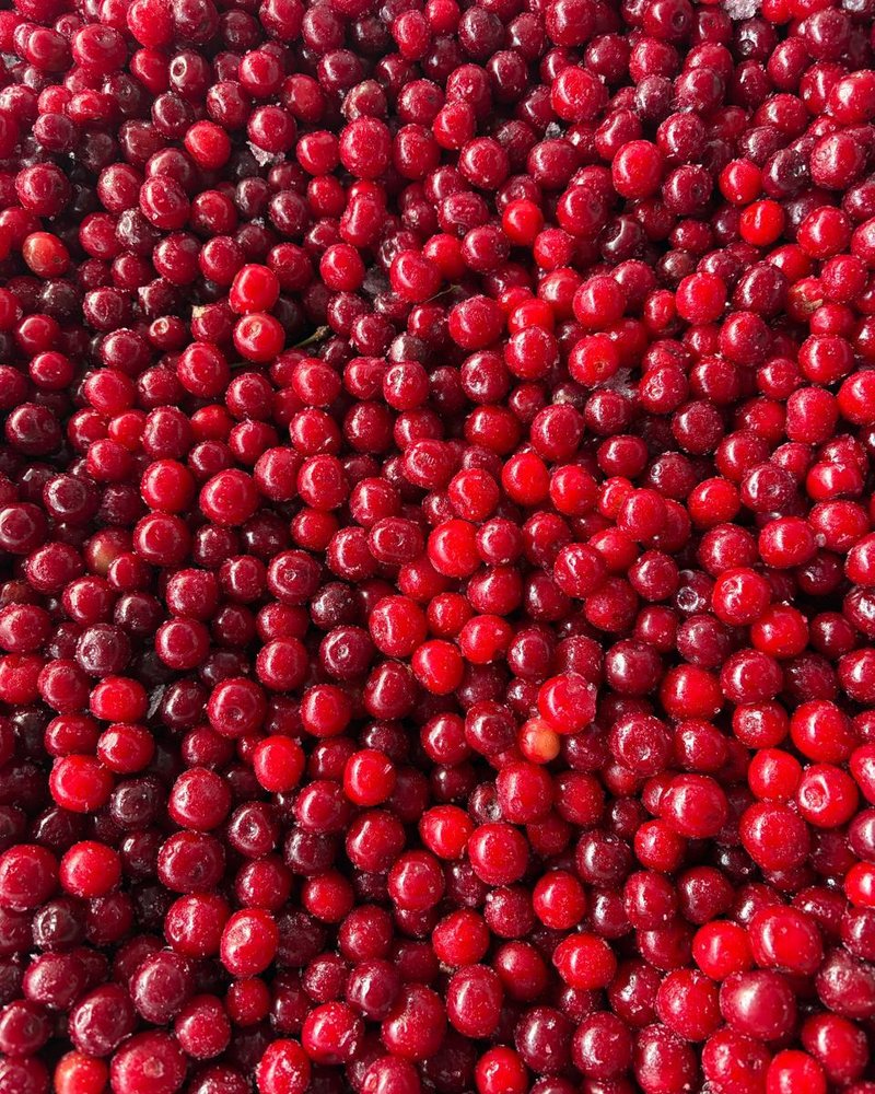 Baies rouges surgelées, IQF